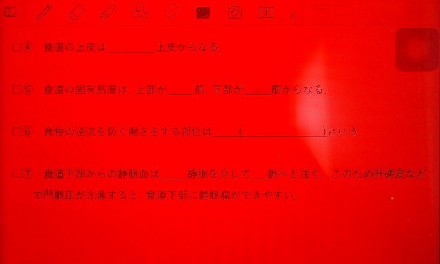 Ipad勉強法 効率的に暗記するために赤シートを使う方法 アプリやカラーフィルタの設定方法を紹介 一歩一歩 再受験のち医大生